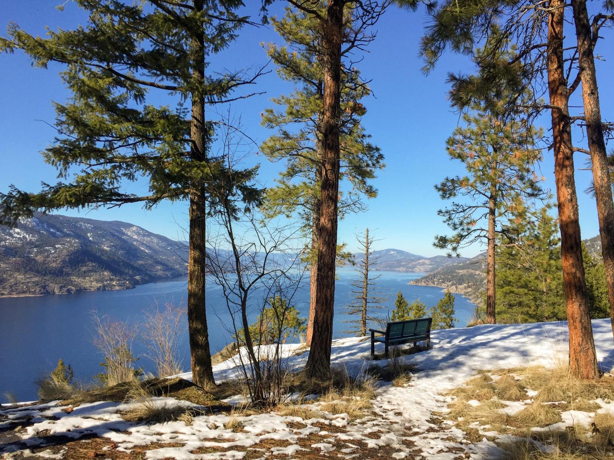 Kelowfornia Lakeview Retreat Kelowna Eksteriør billede